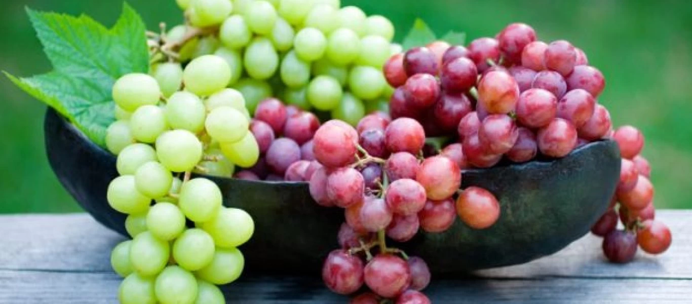 Αυτό είναι το αντιγηραντικό φρούτο που προστατεύει τη μνήμη και την όραση